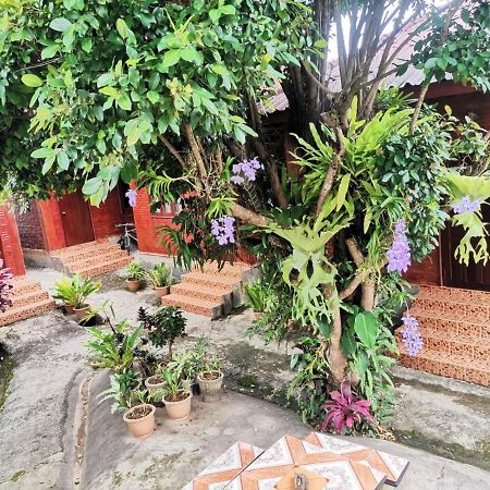 Kongkeo Guesthouse Muang Phonsavan Exterior photo